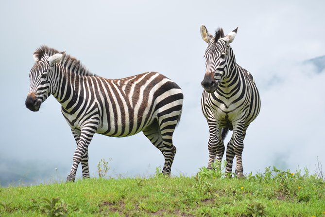 4 days Authentic honeymoon safari Serengeti and ngongoro crater - Day one: the long road to Serengeti