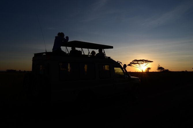 4 days Authentic honeymoon safari Serengeti and ngongoro crater - Meals, lodging, and the question of value