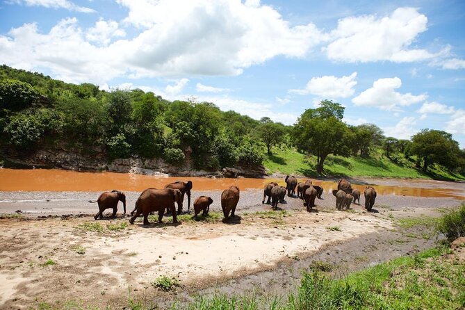 6-Day Honeymoon Safari Tour Package in Tanzania - Five things to know before booking