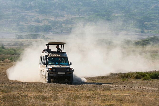 6-Day Honeymoon Safari Tour Package in Tanzania - A honeymoon safari with real time in the parks