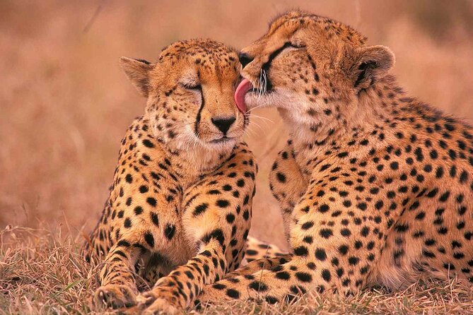6-Day Honeymoon Safari Tour Package in Tanzania - Day 3: The long road to the Serengeti