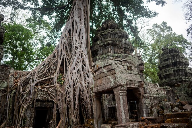 6-hour Angkor Sunrise & Private Tour (Solo, Couple & Family ) - Ta Nie and Preah Palilay keep the route varied