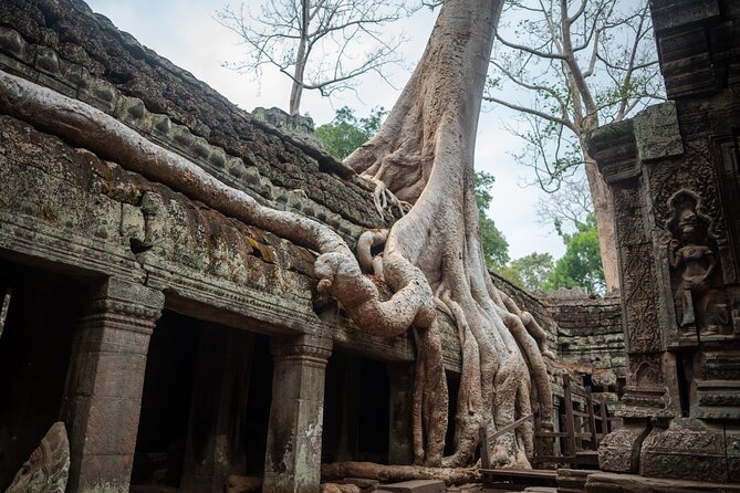 6-hour Angkor Sunrise & Private Tour (Solo, Couple & Family ) - What the guide adds to the day