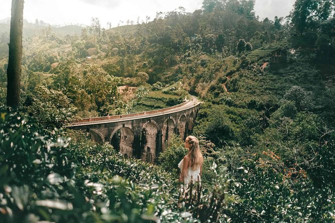 8-Day Romantic Honeymoon Tour - Day 4: Ella’s classic views in one busy day