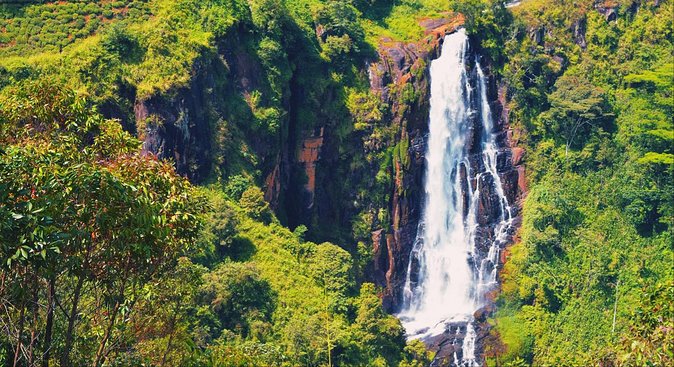 All in one Sri lanka 7nights 8 days for couple price - What the guide service may add