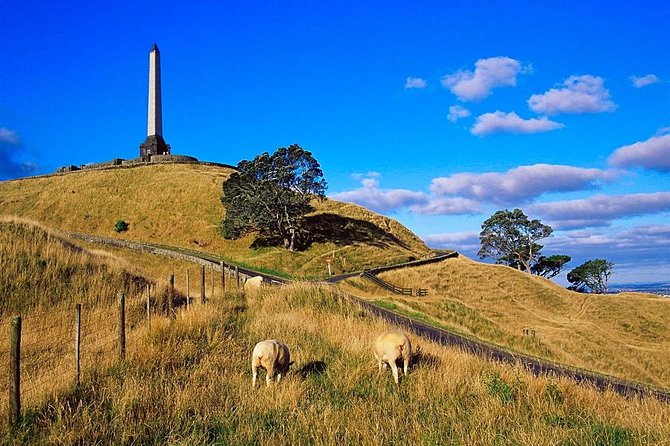 Auckland City Private Tour for Couples. Be chauffeur driven with added extras. - Why this private Auckland tour works for couples