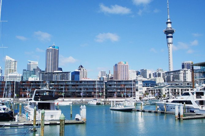 Auckland City Private Tour for Couples. Be chauffeur driven with added extras. - Mission Bay and Parnell’s rose gardens