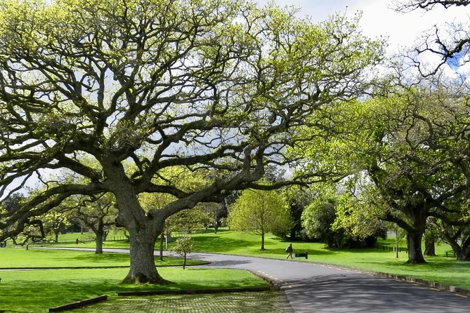 Auckland City Private Tour for Couples. Be chauffeur driven with added extras. - Devonport gives the tour a slower pause