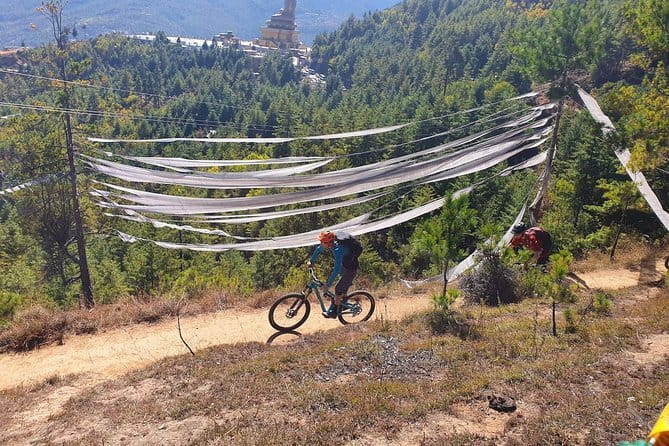 Bhutan Honeymoon Tour - Day 4: Punakha Dzong, a suspension bridge, and a long transfer