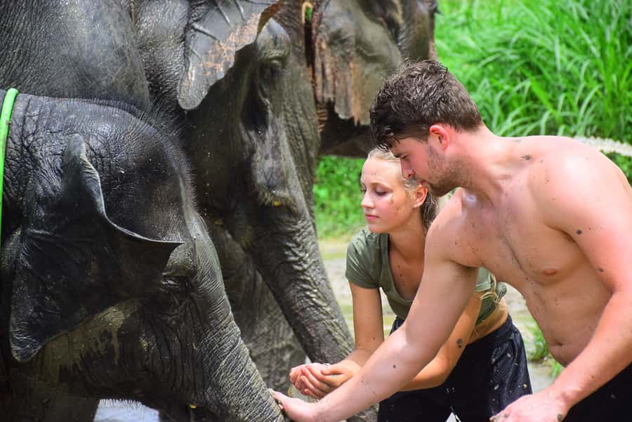 Chiang Mai: Private Elephant Care Experience for Couples - A private elephant day outside Chiang Mai