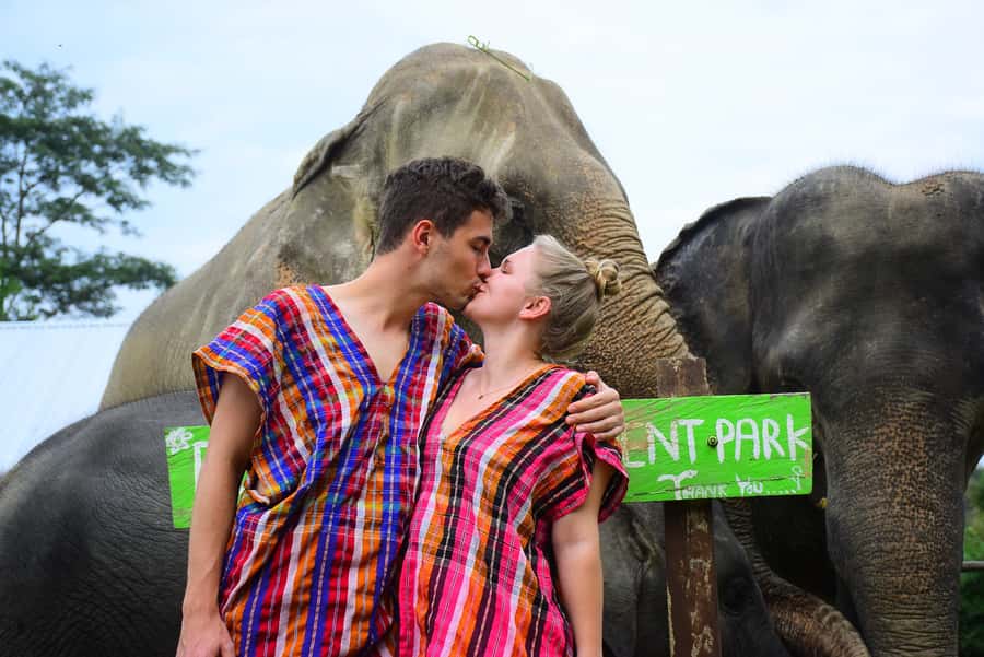 Chiang Mai: Private Elephant Care Experience for Couples - Feeding elephants in their mountain home