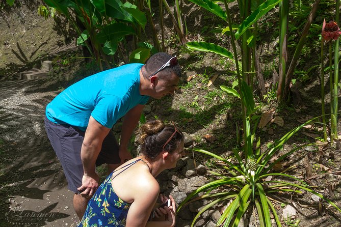 Couples Private St. Lucia Highlights Tour - Botanical gardens and St. Lucia’s plant life
