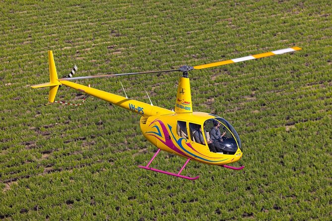 Couples Romantic Picnic - The Short Flight Over the Southern Barossa