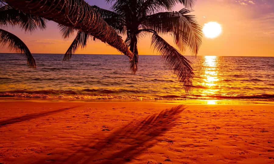 Grand Bay: Honeymoon/Lovers Sunset Tour with Romantic Dinner - BBQ dinner, seafood, and drinks at sea