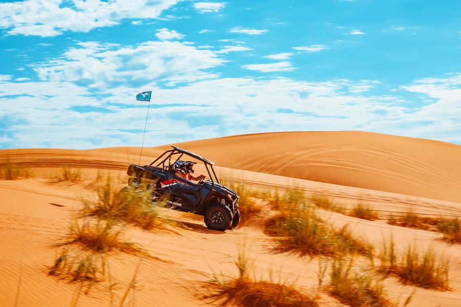 Greater Zion: Couples UTV Tour with Food - Dinosaur tracks add a surprising historical stop