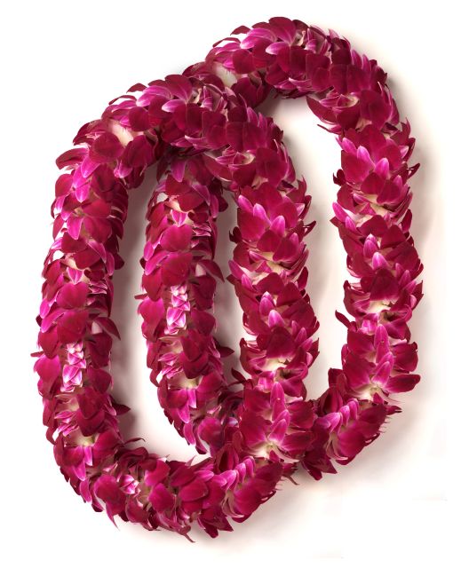 Honolulu Honeymoon Airport Lei Greeting - What the strongest service moments look like