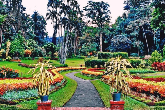 Kandy city tour for couple price - Key points to know before booking