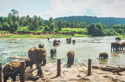 Kandy city tour for couple price