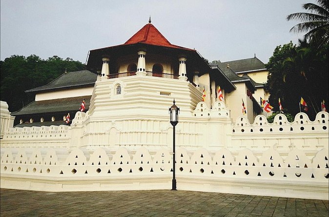 Kandy city tour for couple price - Spice Gallery: 20 minutes for plants and products
