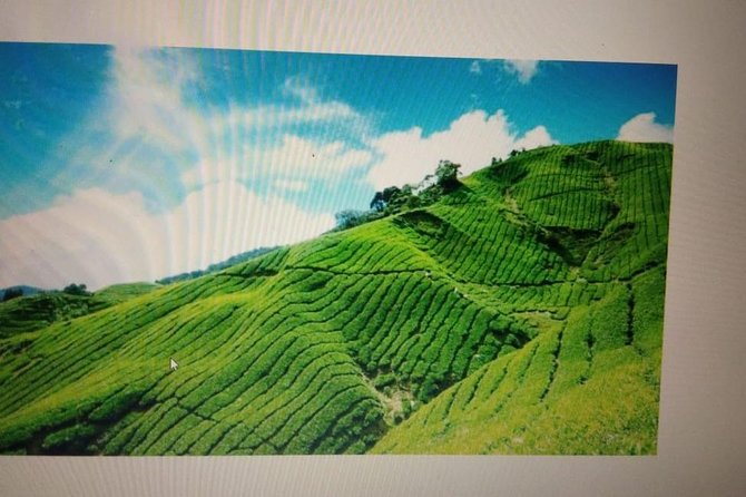 Kerala Honeymoon Package - Key points at a glance