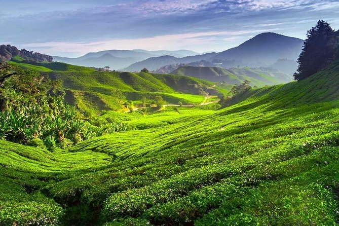 Kerala Honeymoon Special Package with Private Houseboat - Why this private Kerala route works for couples