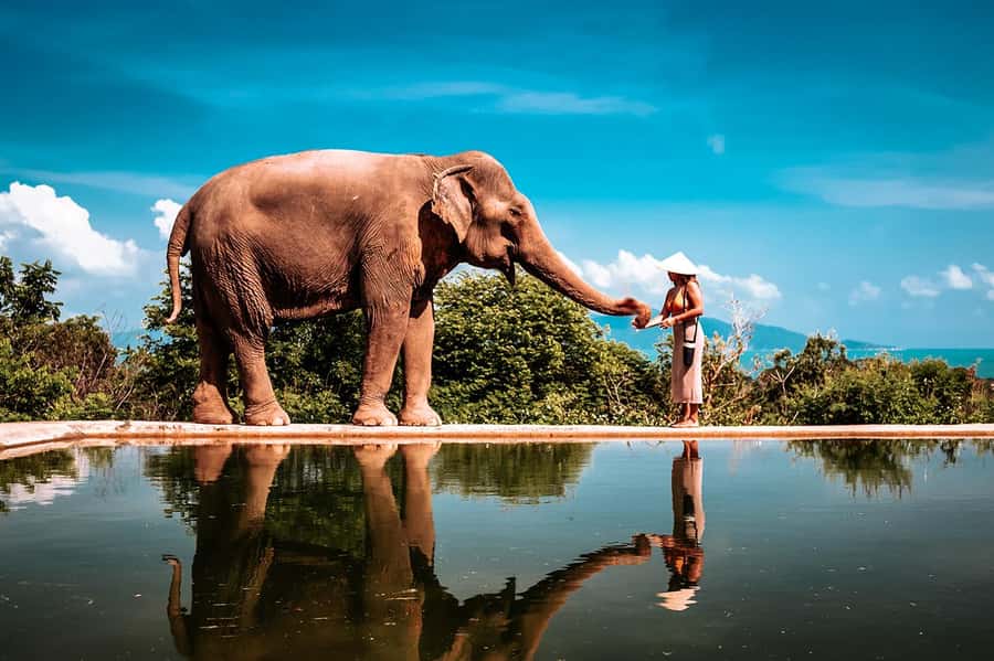 Koh Samui: Private Photoshoot for Couples & Families - Why timing matters more than you might expect