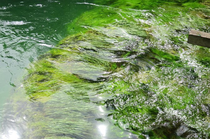 Krka waterfalls luxury tour for singles or couples - Primošten gives you four hours by the sea