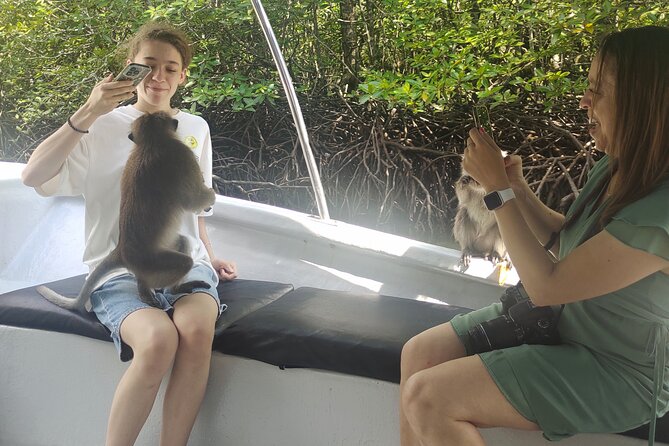 Langkawi Highlights Day Tour - ATV, Mangrove Cruise & Cable Car - The cable car and the value of the express lane