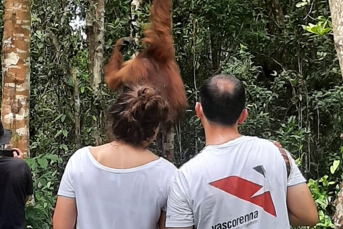 Orangutan Tanjung Puting Honeymoon CoupleTour - Key Points Before You Book