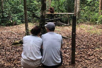 Orangutan Tanjung Puting Honeymoon CoupleTour