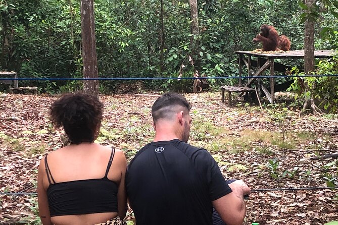 Orangutan Tanjung Puting Honeymoon CoupleTour - Final Call: Book It for the River, Not the Room