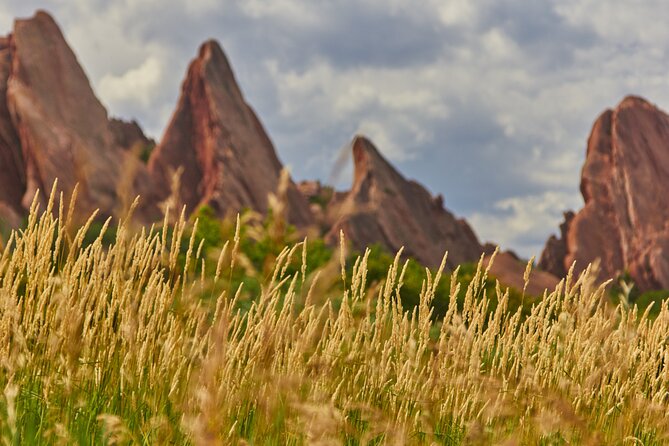 Private Nature Tour for Couples - Choosing between a short walk and a longer hike