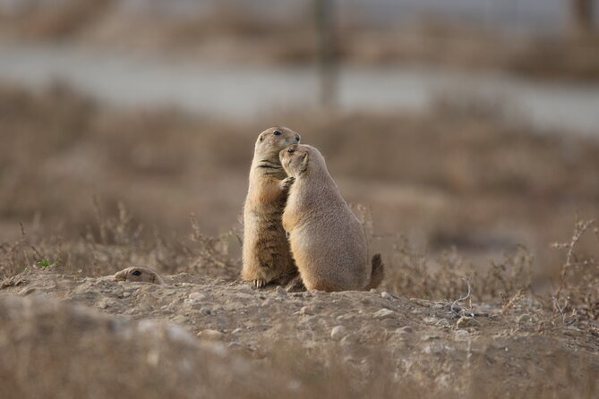 Private Nature Tour for Couples - Birding with a guide who knows where to look