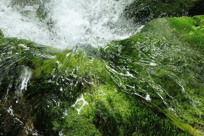 Split to Zagreb or airport Zagreb via Plitvice lakes for singles or couples - The driver can shape the day