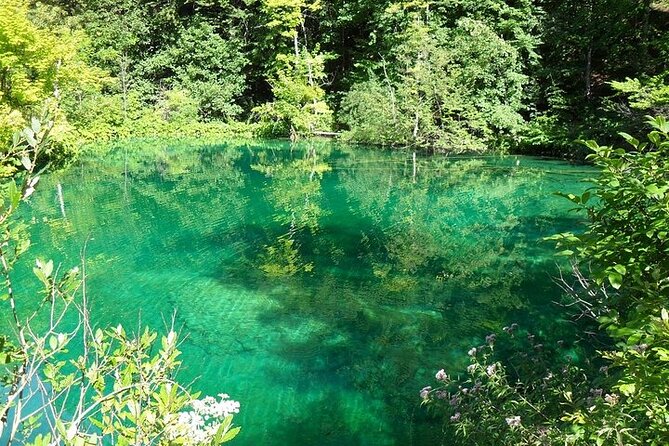 Split to Zagreb or airport Zagreb via Plitvice lakes for singles or couples - Who should book this experience