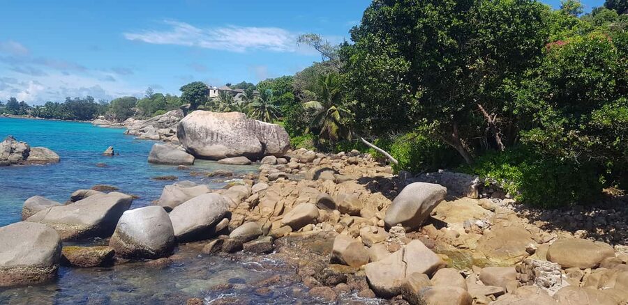 Tours and Hikes for Couples, Solo Travelers or Families - Beach time, swimming, and snorkeling