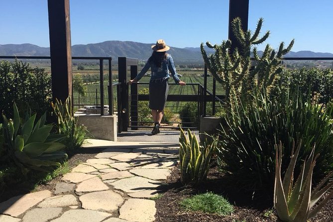 Valle de Guadalupe Couples Wine Tour - Villa Montefiori brings an elegant first stop