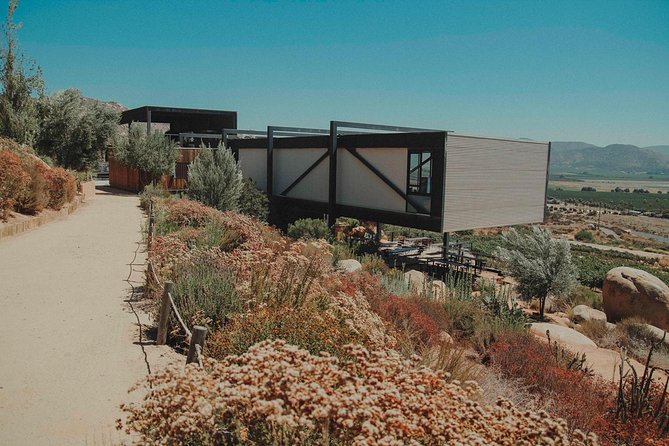 Valle de Guadalupe Couples Wine Tour - Vinos Pijoan closes with a quieter winery visit