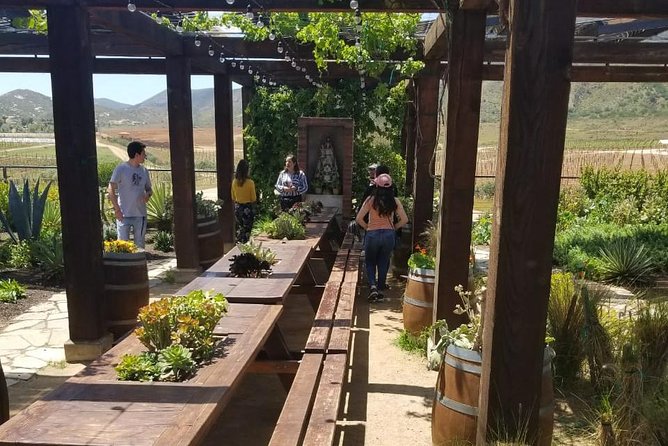 Valle de Guadalupe Couples Wine Tour - Who should book this tour