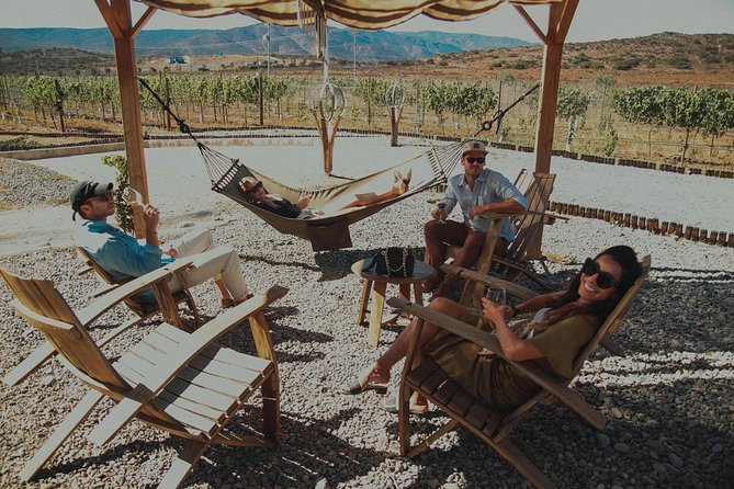 Valle de Guadalupe Couples Wine Tour - Starting at 10:00 a.m. from Ensenada or the valley