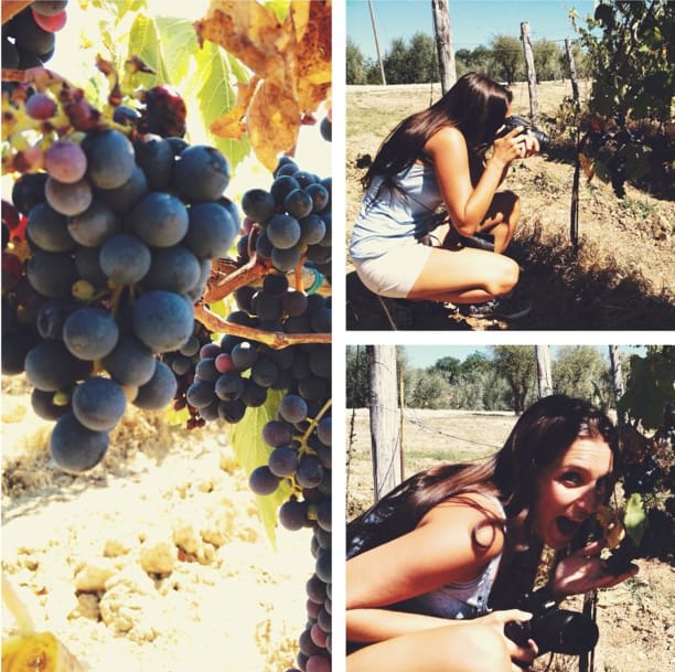 YOUR HONEYMOON IN TUSCANY: Private Chianti Wine Tasting Tour - A Tuscan lunch with Vernaccia and Chianti