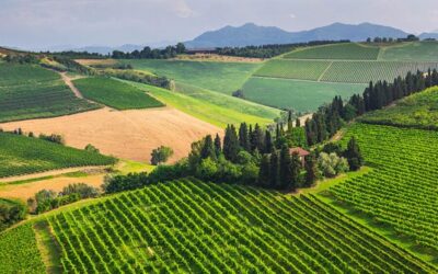 YOUR HONEYMOON IN TUSCANY: Private Chianti Wine Tasting Tour