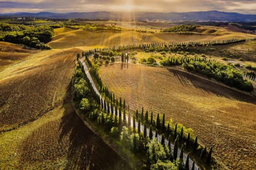 YOUR HONEYMOON IN TUSCANY: Private Chianti Wine Tasting Tour - Who should book this experience?